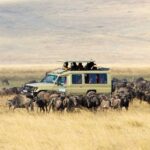 Luxury safari drive across Masai Mara plains