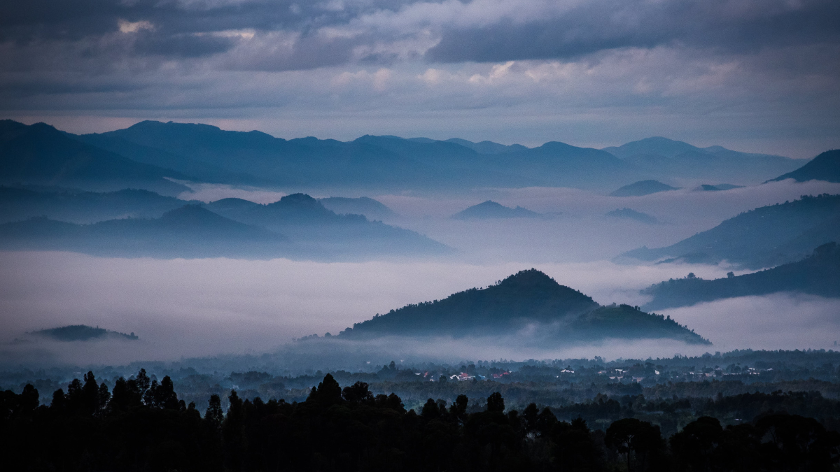 a green hillside in Volcanoes National Park.